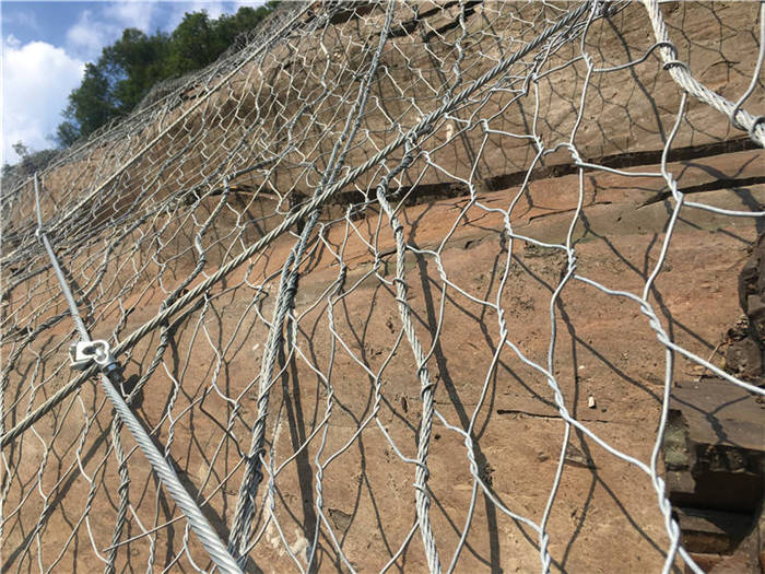 ���Ӹߏ�(qi��ng)�ӽ�W(w��ng)